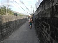 thumbnail of 