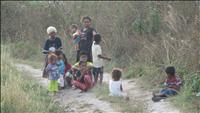 thumbnail of 