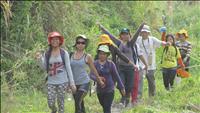 thumbnail of 