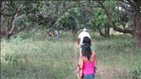 thumbnail of 