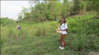 thumbnail of 