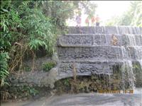thumbnail of 