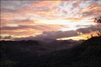 thumbnail of 