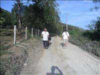 thumbnail of 