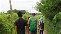 thumbnail of 