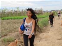 thumbnail of 