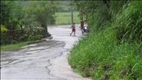 thumbnail of 