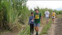 thumbnail of 