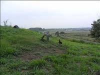 thumbnail of 