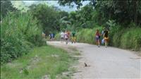 thumbnail of 