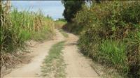 thumbnail of 