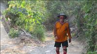 thumbnail of 