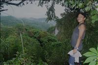 thumbnail of 