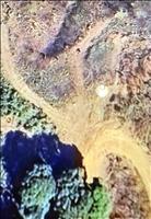 thumbnail of 