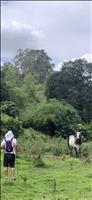 thumbnail of 