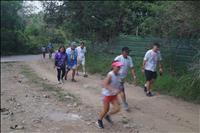 thumbnail of 