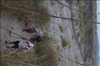 thumbnail of 