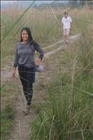 thumbnail of 