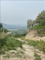 thumbnail of 