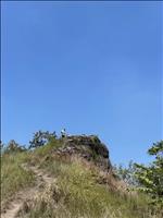 thumbnail of 
