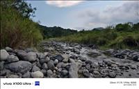 thumbnail of 
