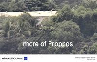 thumbnail of 