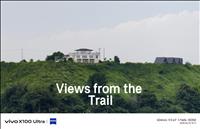 thumbnail of 