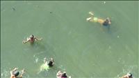 thumbnail of 20120101 (42)_tn